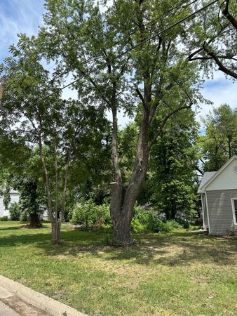 A house with a lot of trees in front of it.