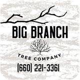 Big Branch Tree Company