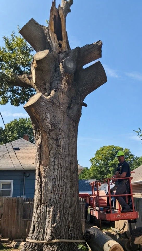 A large tree stump is sitting in front of a house.