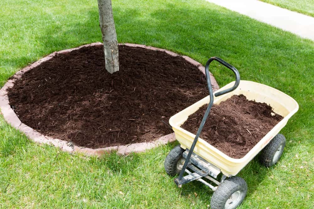 A Garden Cart Filled With Dark Mulch — Brett Continuous Concrete Kerbing & Edging In Lakewood, NSW