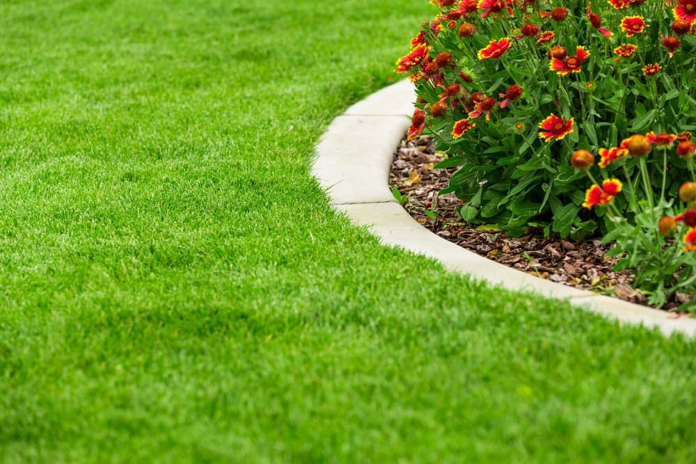 A Lush Green Lawn Curves Alongside a Flowerbed — Brett Continuous Concrete Kerbing & Edging In Lakewood, NSW
