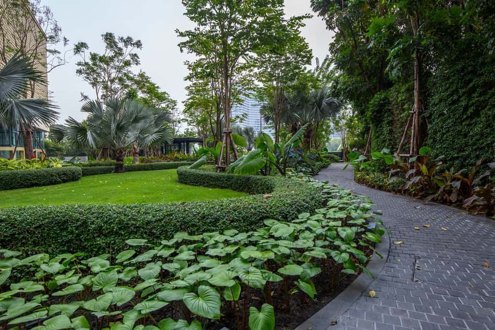 A Garden With a Brick Pathway — Brett Continuous Concrete Kerbing & Edging In Bonny Hills, NSW