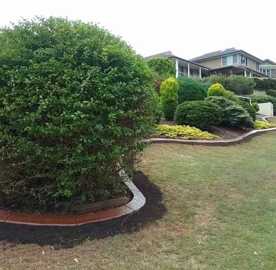 Round Bush Bordered With Mulch — Brett Continuous Concrete Kerbing & Edging In North Haven, NSW