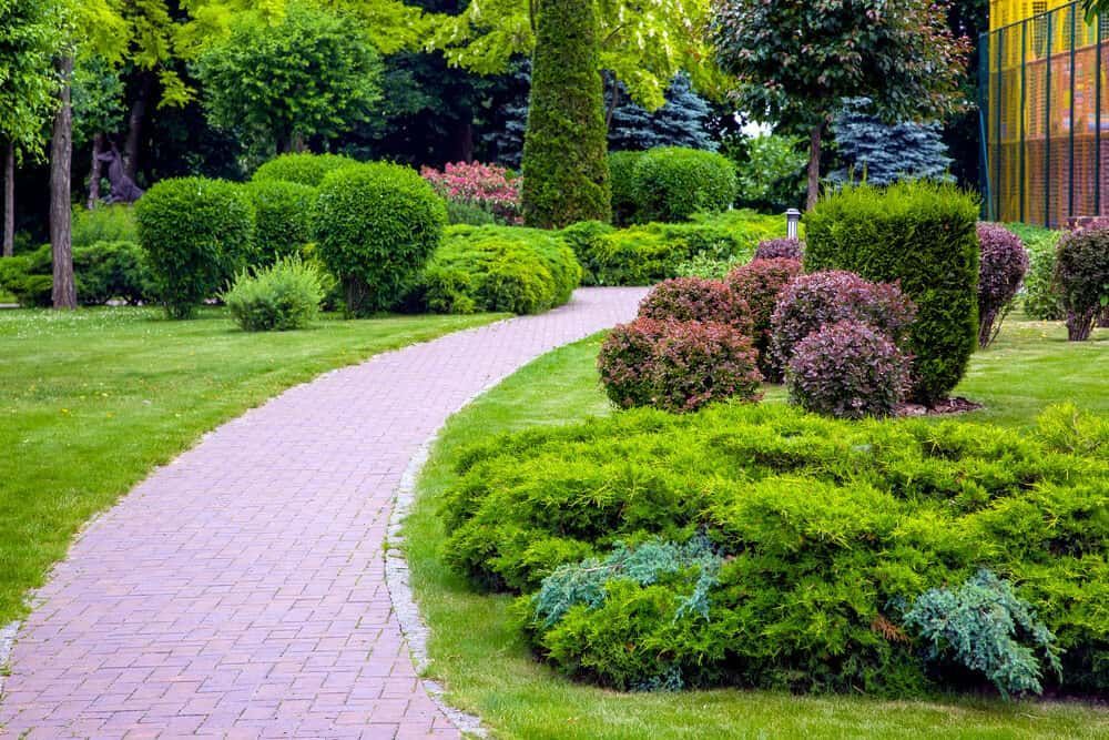 A Lush Garden With Neatly Trimmed Bushes — Brett Continuous Concrete Kerbing & Edging In Wauchope, NSW