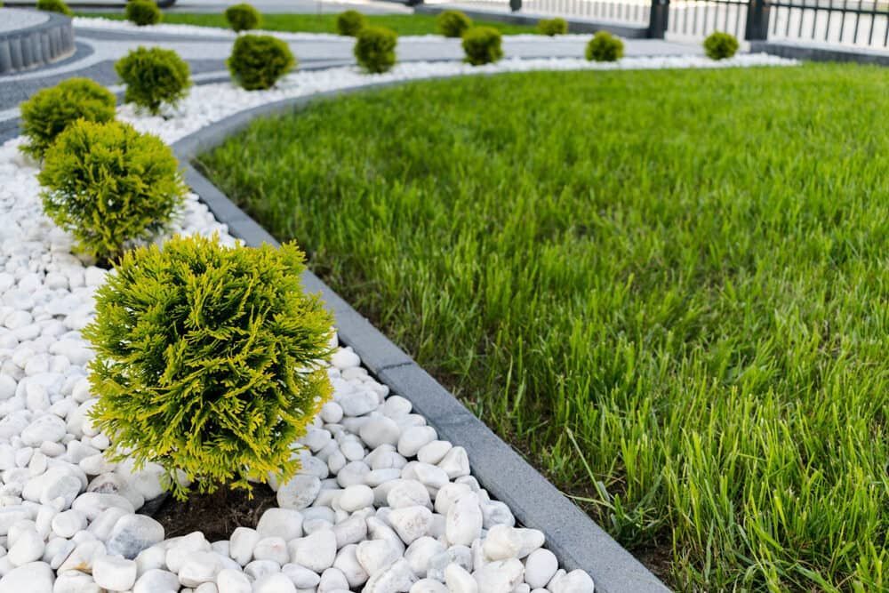 Neatly Trimmed Shrubs in White Pebble — Brett Continuous Concrete Kerbing & Edging In Lakewood, NSW