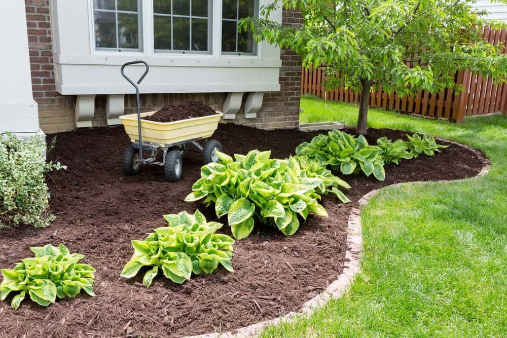A Garden Bed With Lush Green Hosta Plants — Brett Continuous Concrete Kerbing & Edging In Bonny Hills, NSW
