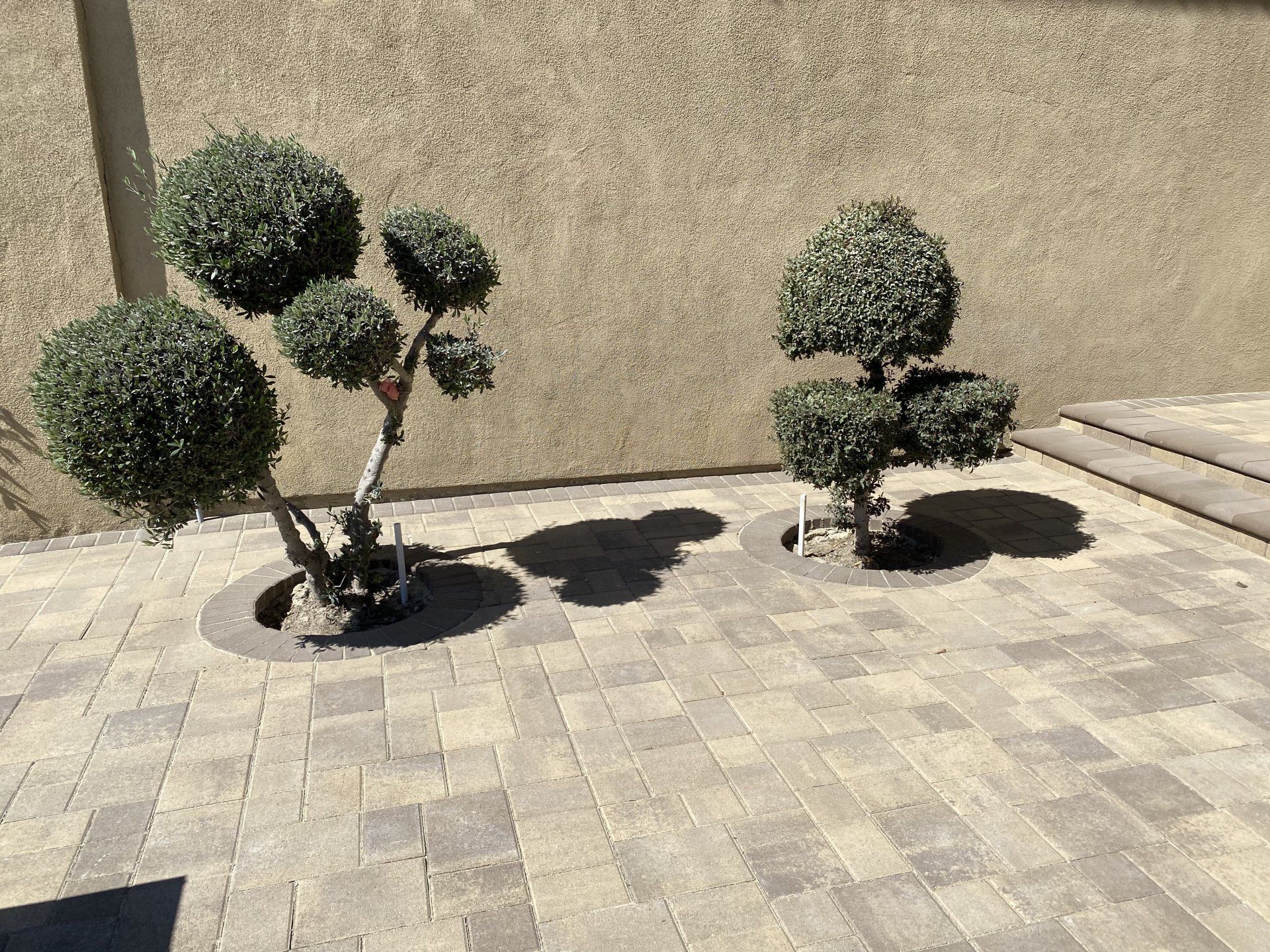 Landscape & Hardscape Services 10