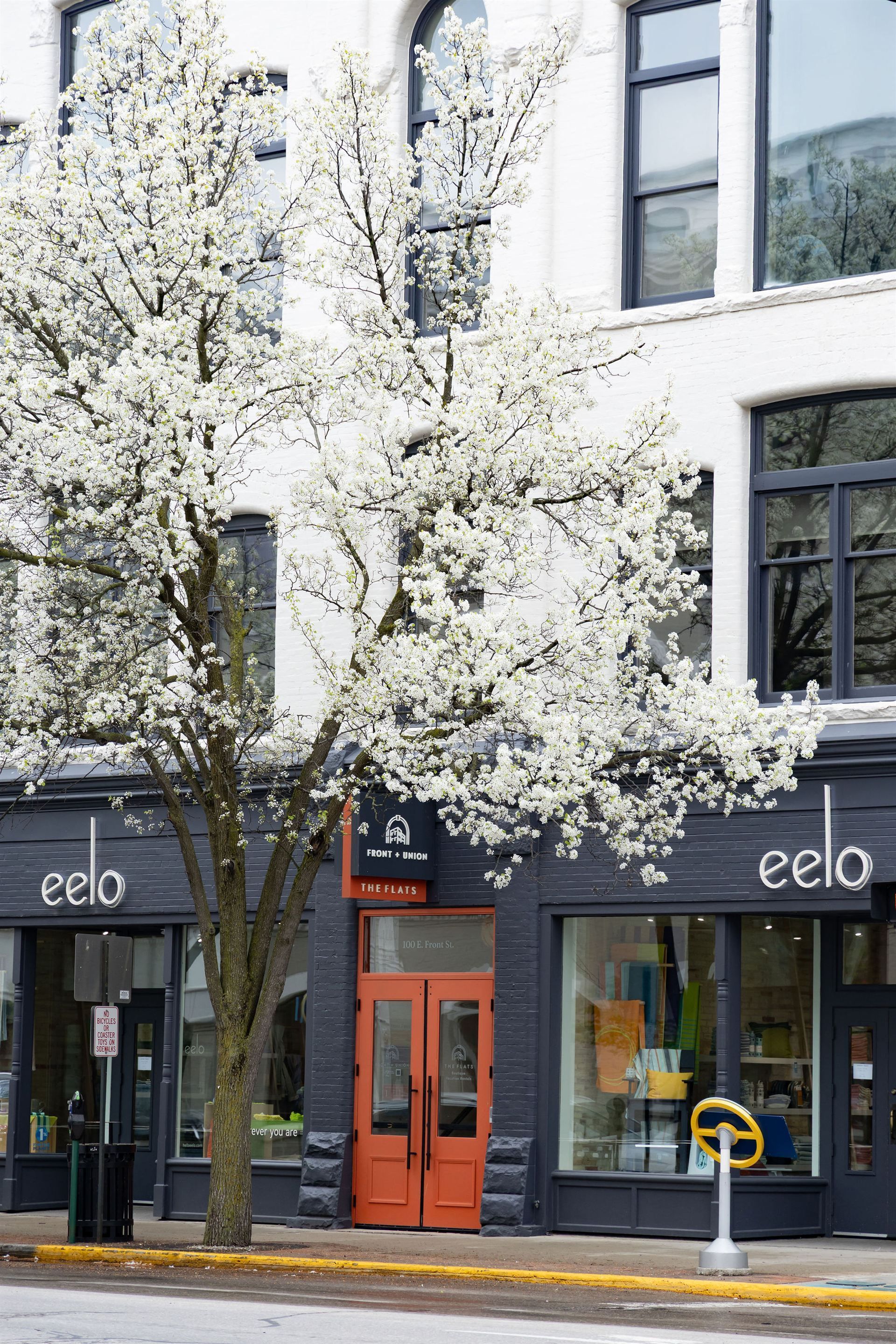 A store front with a tree in front of it