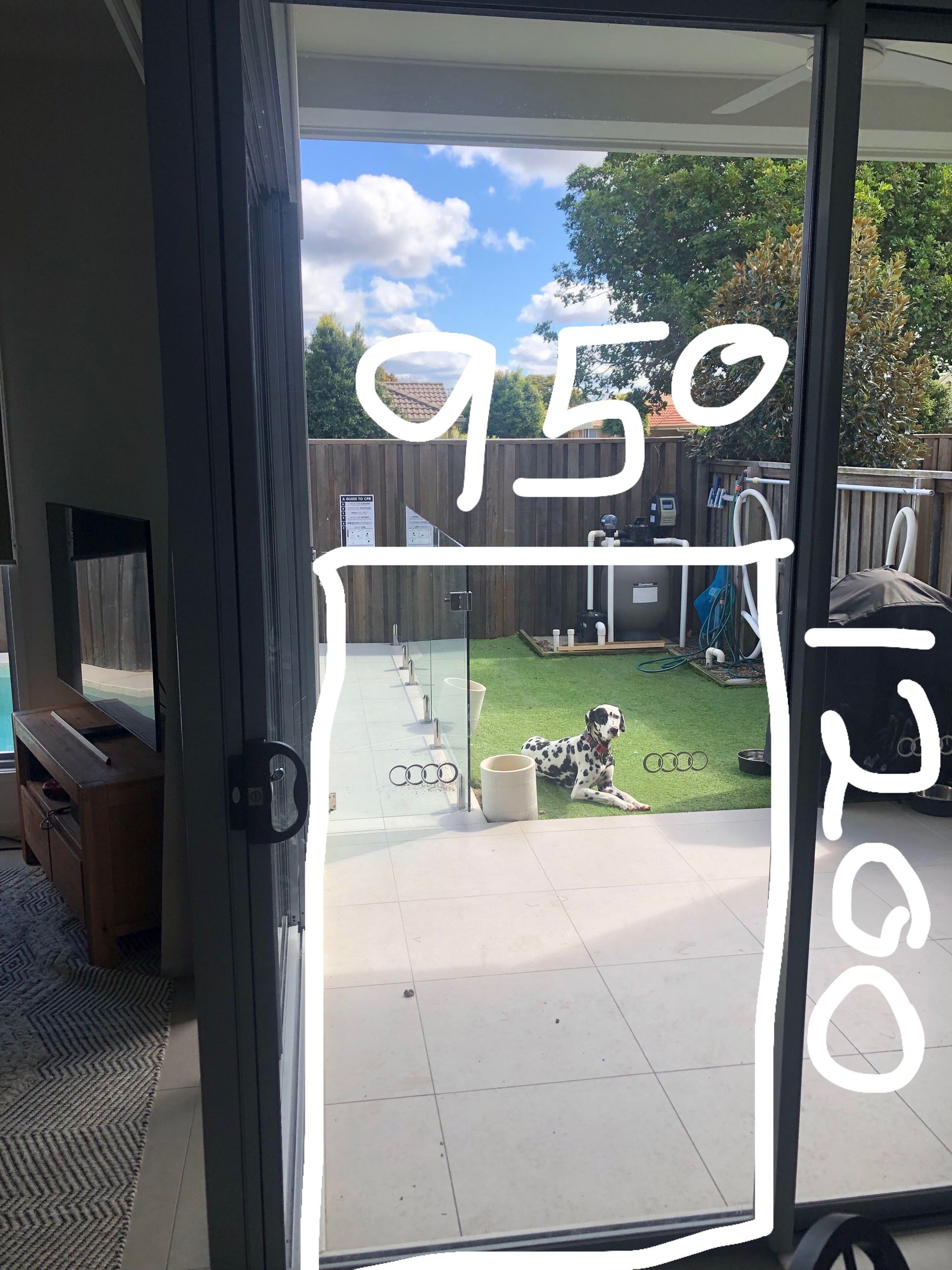 dog sccratch and full window marked