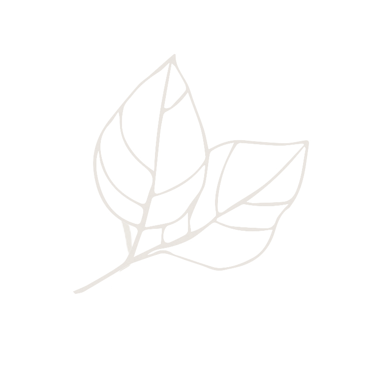 Spring Hill Dental Center Dental Clinic Spring Hill, TN