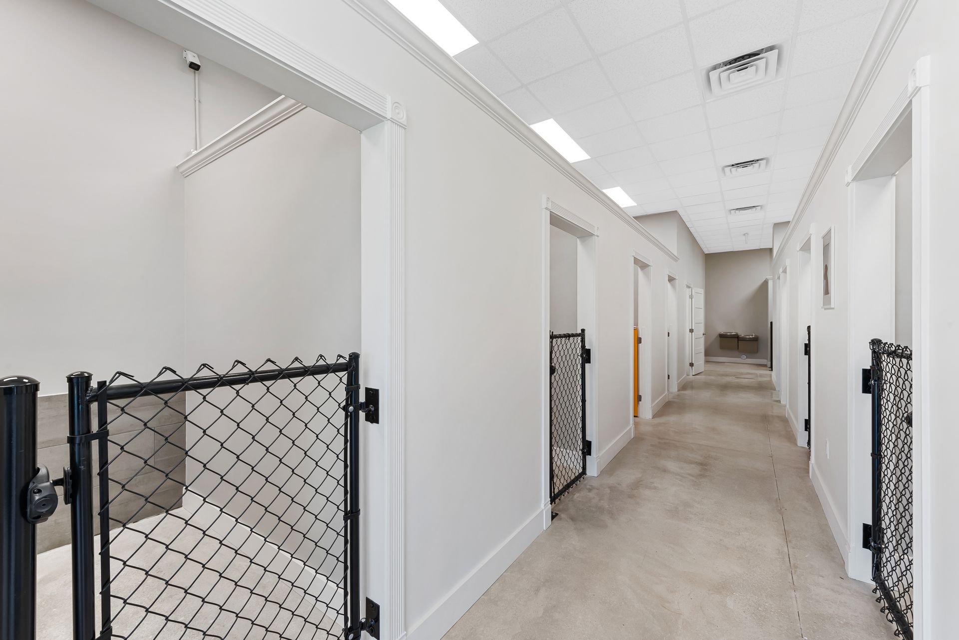 Easy Builder’s PetBar commercial buildout in Fort Lauderdale