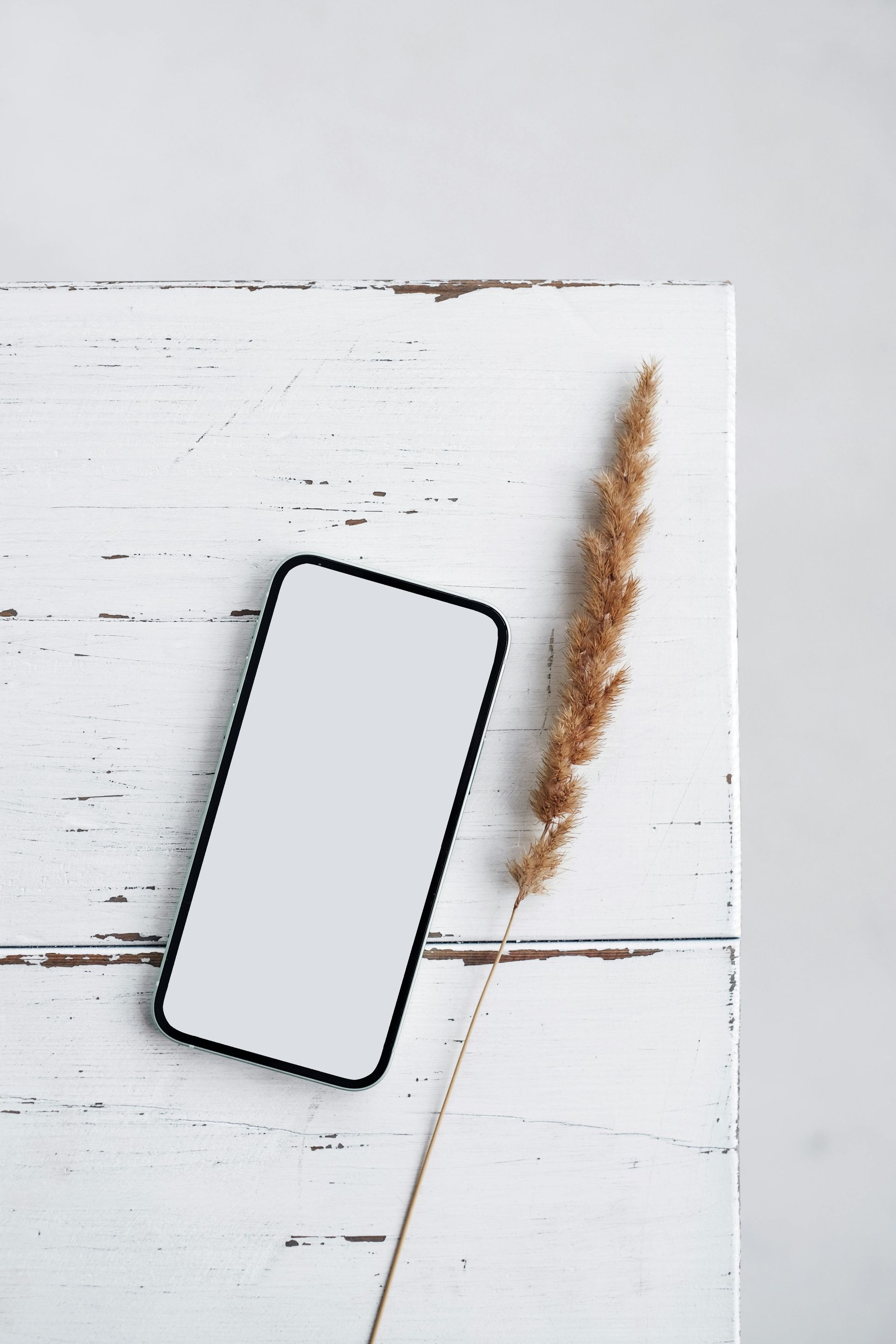  TARGETING PAIN AND ITS COMORBIDITIES IN THE DIGITAL AGE