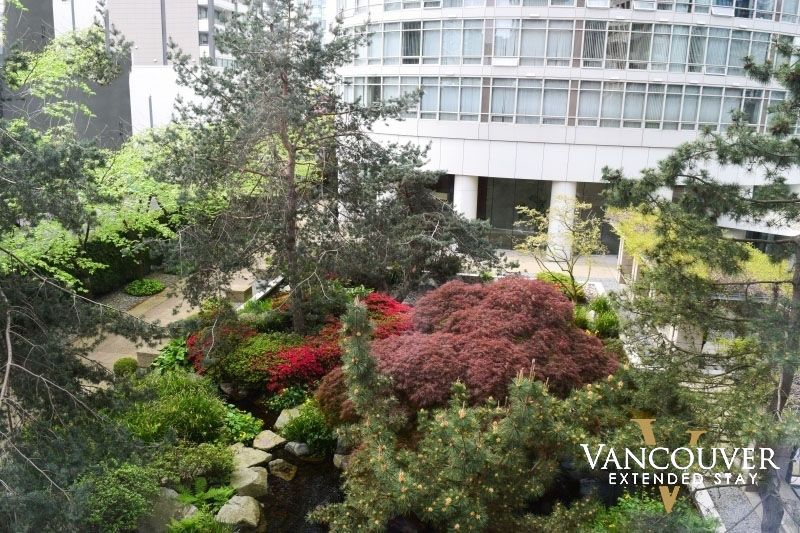 A garden outside of apartment building on a sunny day