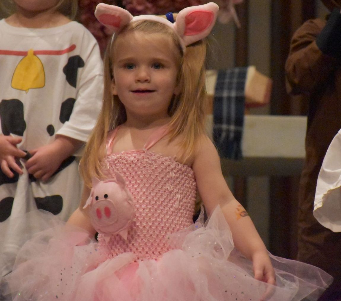 Young child in a pink pig costume, wearing a pink tutu and headband.