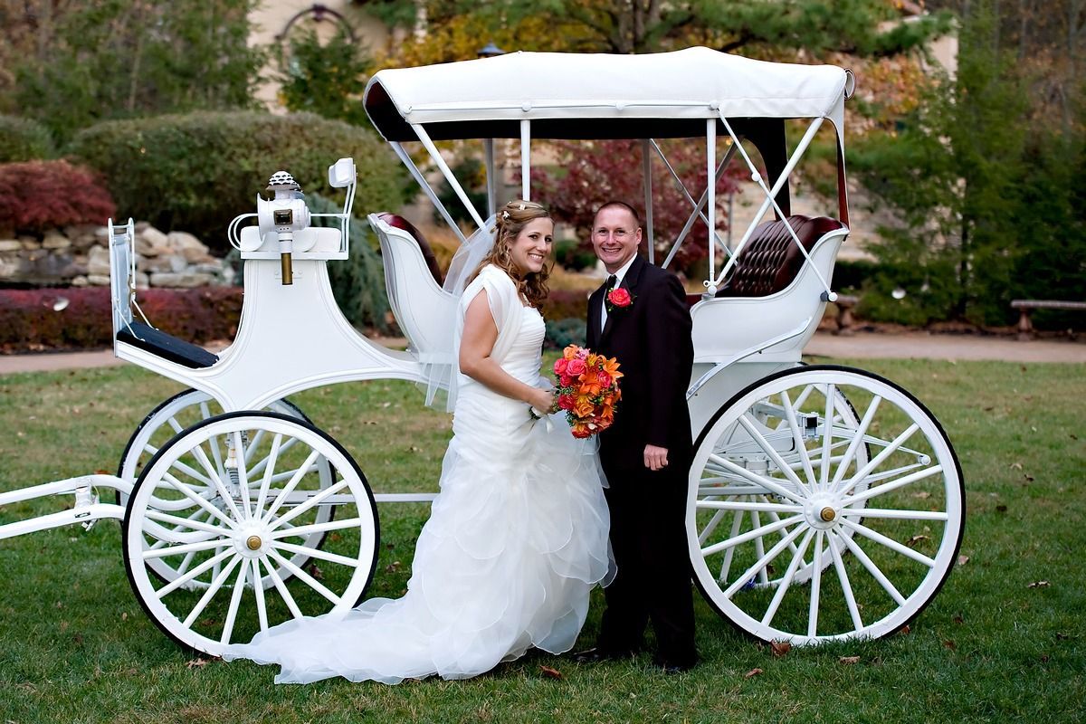 A bride and groom are posing for a picture in front of a horse drawn carriage.