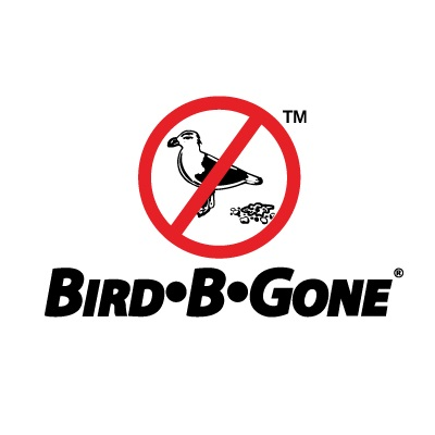 A sparrow with brown and white feathers perches on a thin branch with green leaves, against a blurred background.