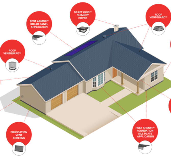 Raccoon with a black mask, gray fur, perched on a wooden structure outdoors with a green background.
