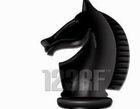 Black chess knight piece, isolated on white background.