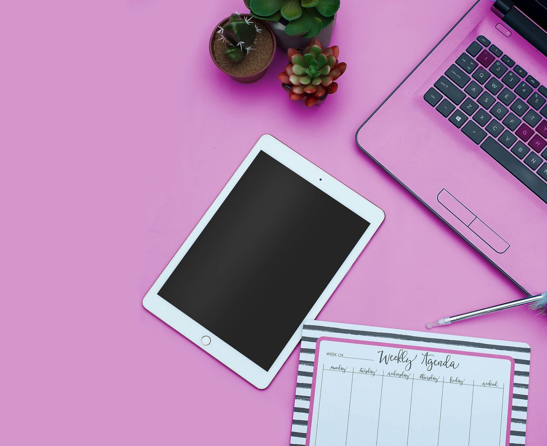Pink desk setup with laptop, tablet, weekly planner, and potted plants.