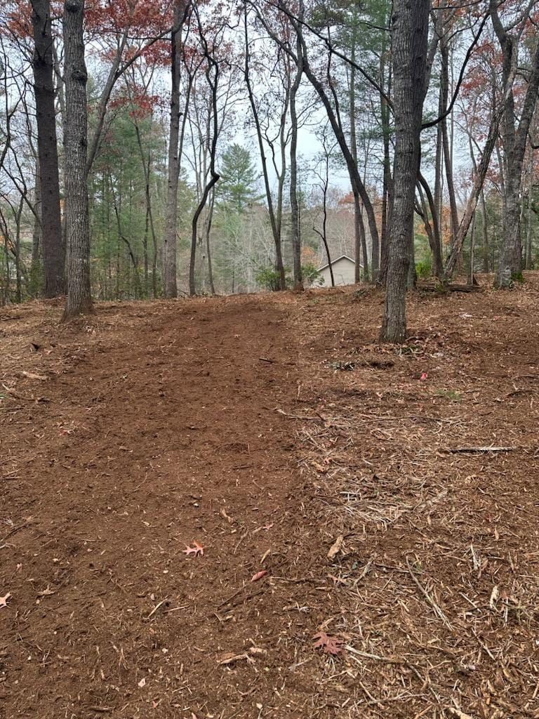 A dirt road in the middle of a forest with trees in the background - Alexander, NC - Land Solutions, LLC