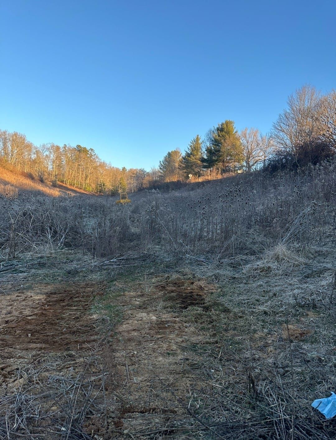 A field with trees and a blue sky in the background - Alexander, NC - Land Solutions, LLC