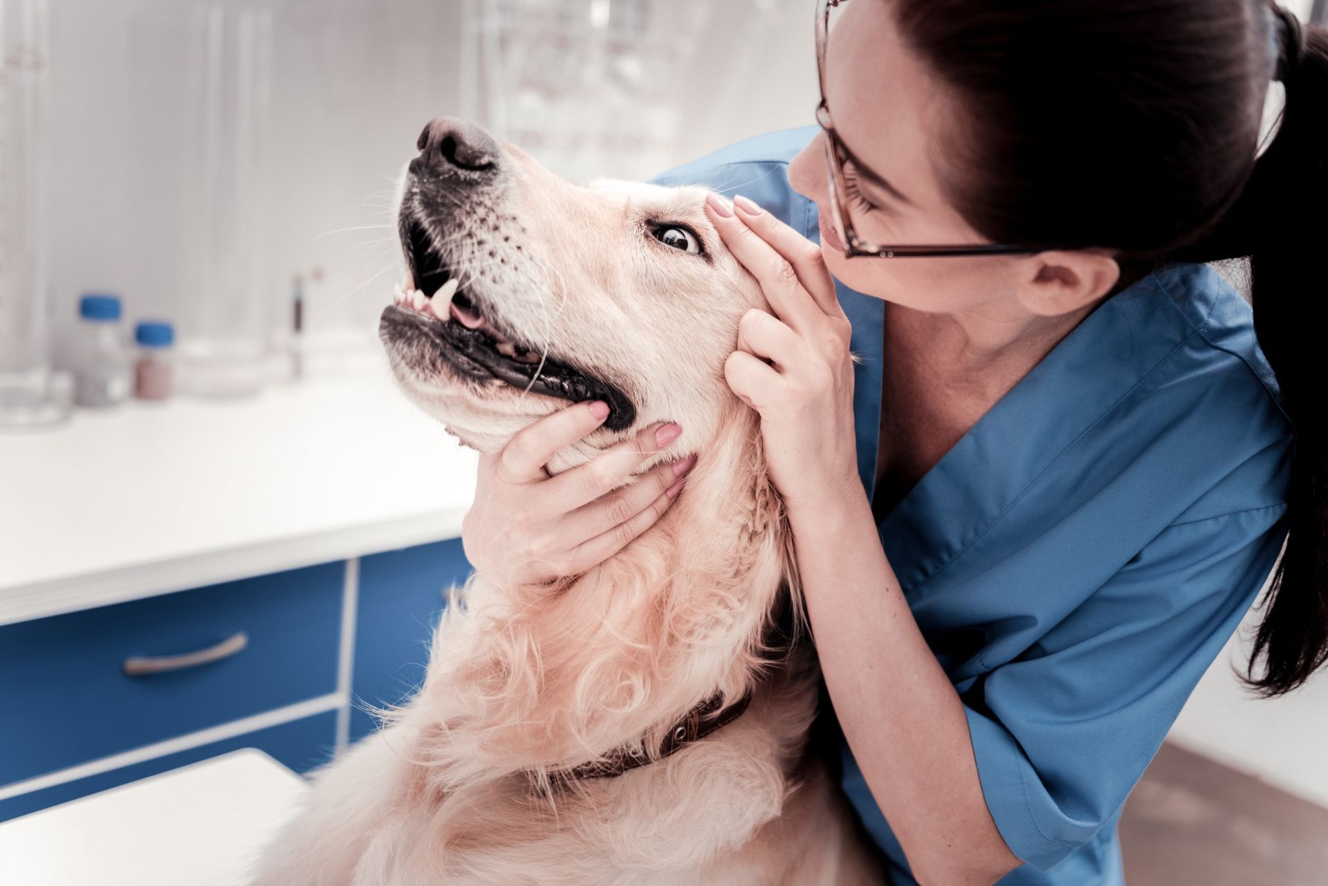 Image of a veterinarian performing a dental examination on a dog