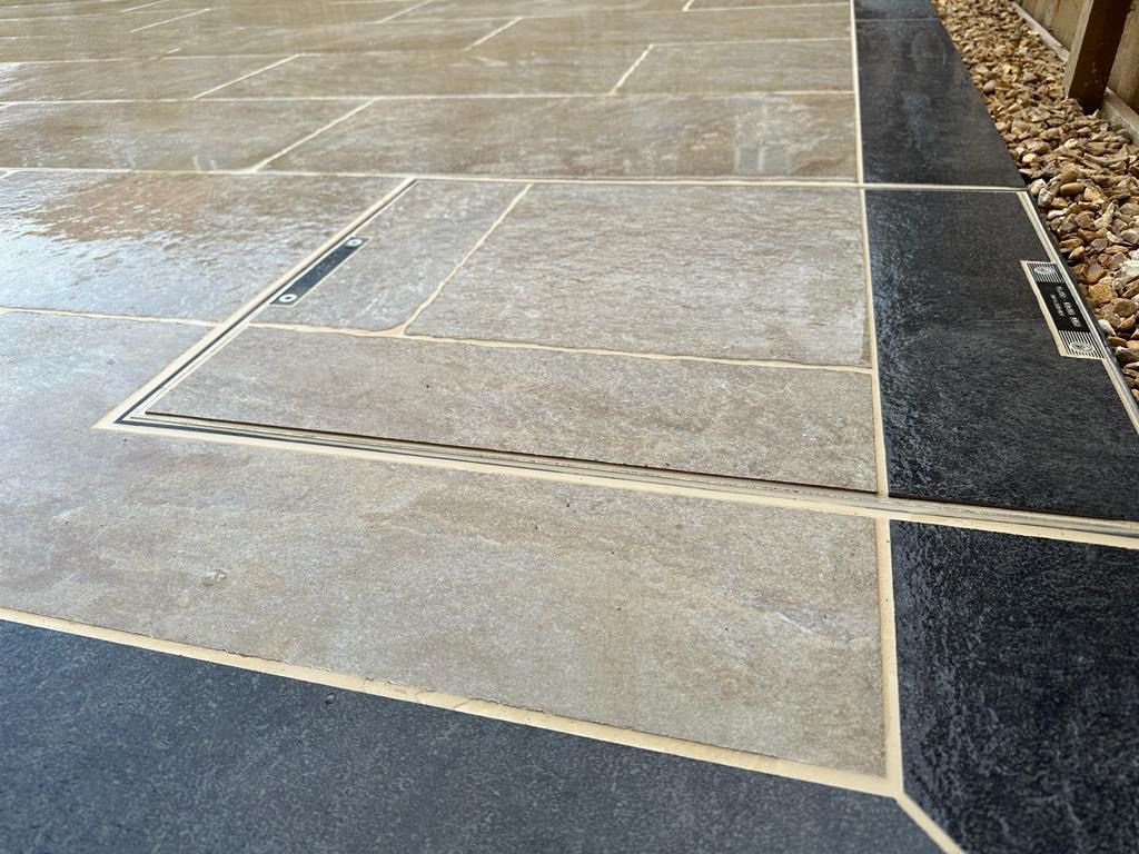 fencing with a shrub