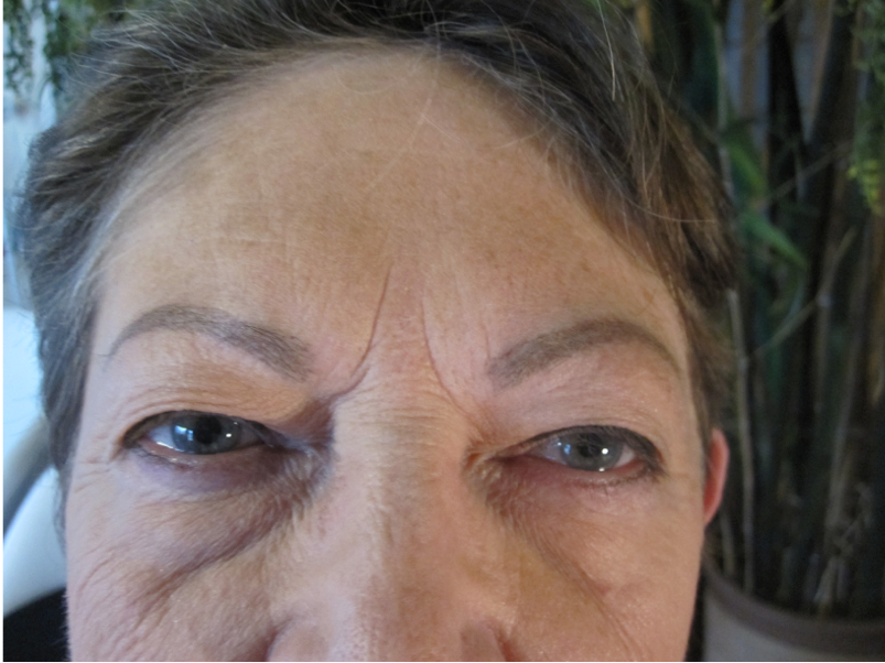 Fair Oaks Permanent Makeup Eye Brows after