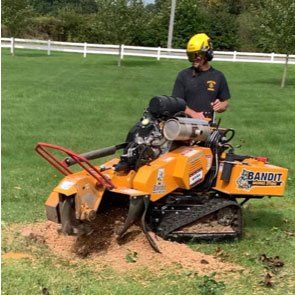Local Tree Removal Service — Crown Point, IN — Clemons Tree Service