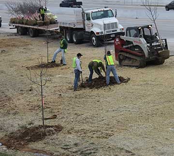 Workers planting trees beside a road with a truck, trailer of trees, and skid steer.
