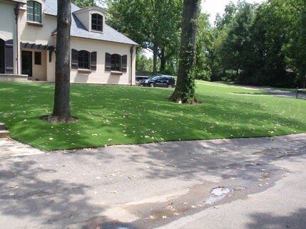 Warson Woods Zoysia Lawn — Residential Lawn Installation in O'Fallon, MO