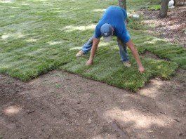 Man Working — Sod Installation in O'Fallon, MO