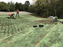 Specialized Landscaping — Lawn Installation in O'Fallon, MO