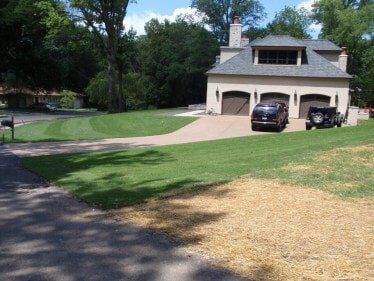 New Zoysia Lawn — Residential Lawn Installation in O'Fallon, MO