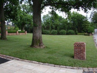 Fescue Grass Installed — Residential Lawn Installation in O'Fallon, MO