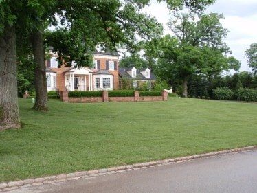 Ladue Fescue Grass Installation — Residential Lawn Installation in O'Fallon, MO