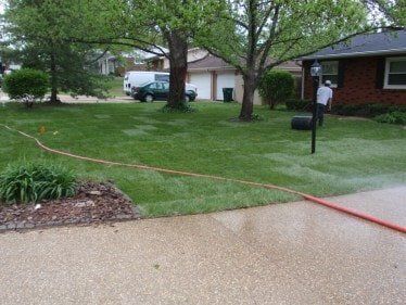 Hand Rolling a New Fescue Lawn — Residential Lawn Installation in O'Fallon, MO