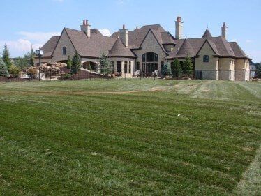 Town & Country Fescue Lawn — Residential Lawn Installation in O'Fallon, MO