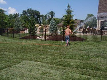 Watering a Fescue Lawn — Residential Lawn Installation in O'Fallon, MO