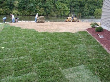 Fescue Grass Installation — Residential Lawn Installation in O'Fallon, MO