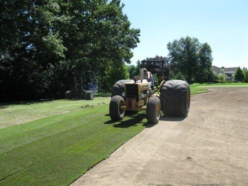 Installing Big Roll Zoysia — Lawn Installation for golf courses in O'Fallon, MO