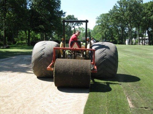 Zoysia Sod Installation — Lawn Installation for golf courses in O'Fallon, MO