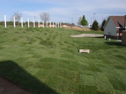 Sod Installation — Commercial Lawn Installation in O'Fallon, MO