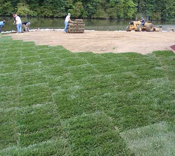 Work of a sod installation company in St Louis, MO
