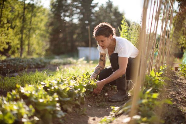 Woman working in the vegetable garden.