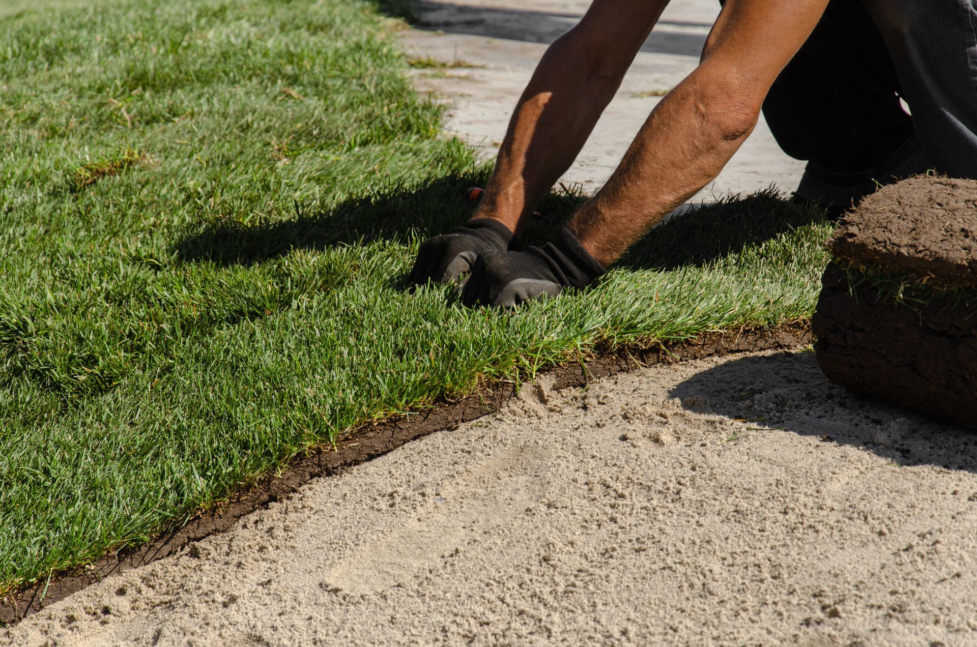 View of an unrecognizable gardener with black gloves, performing sod installation in a garden.