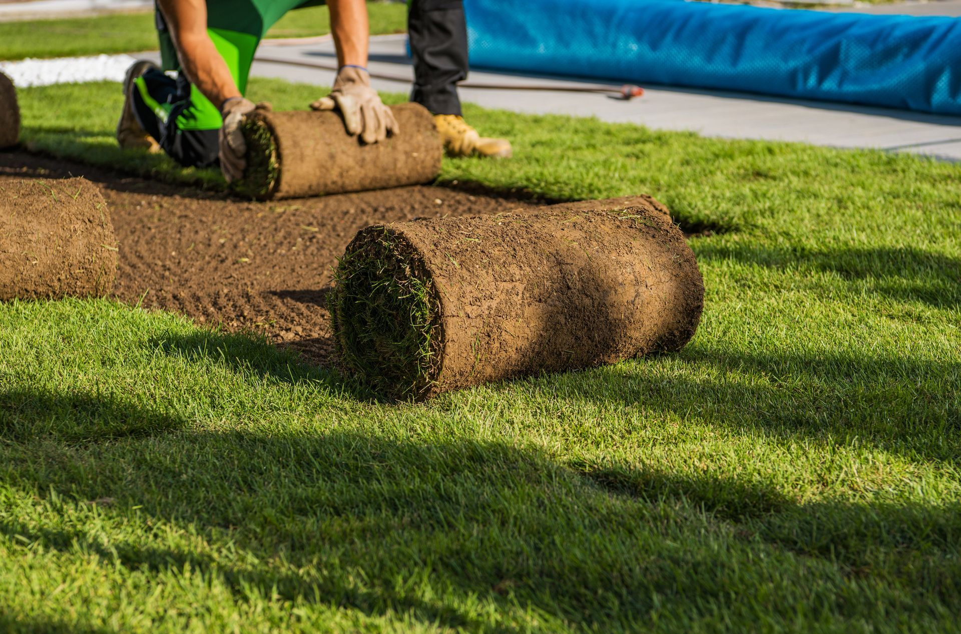 Natural grass turfs being rolled out in a residential backyard by a sod installation company.