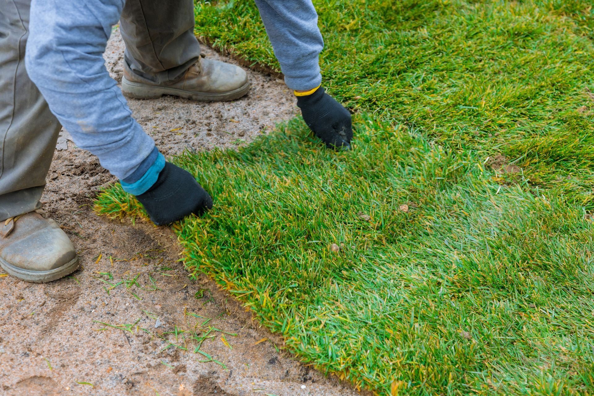 A worker is installating sod on the ground.