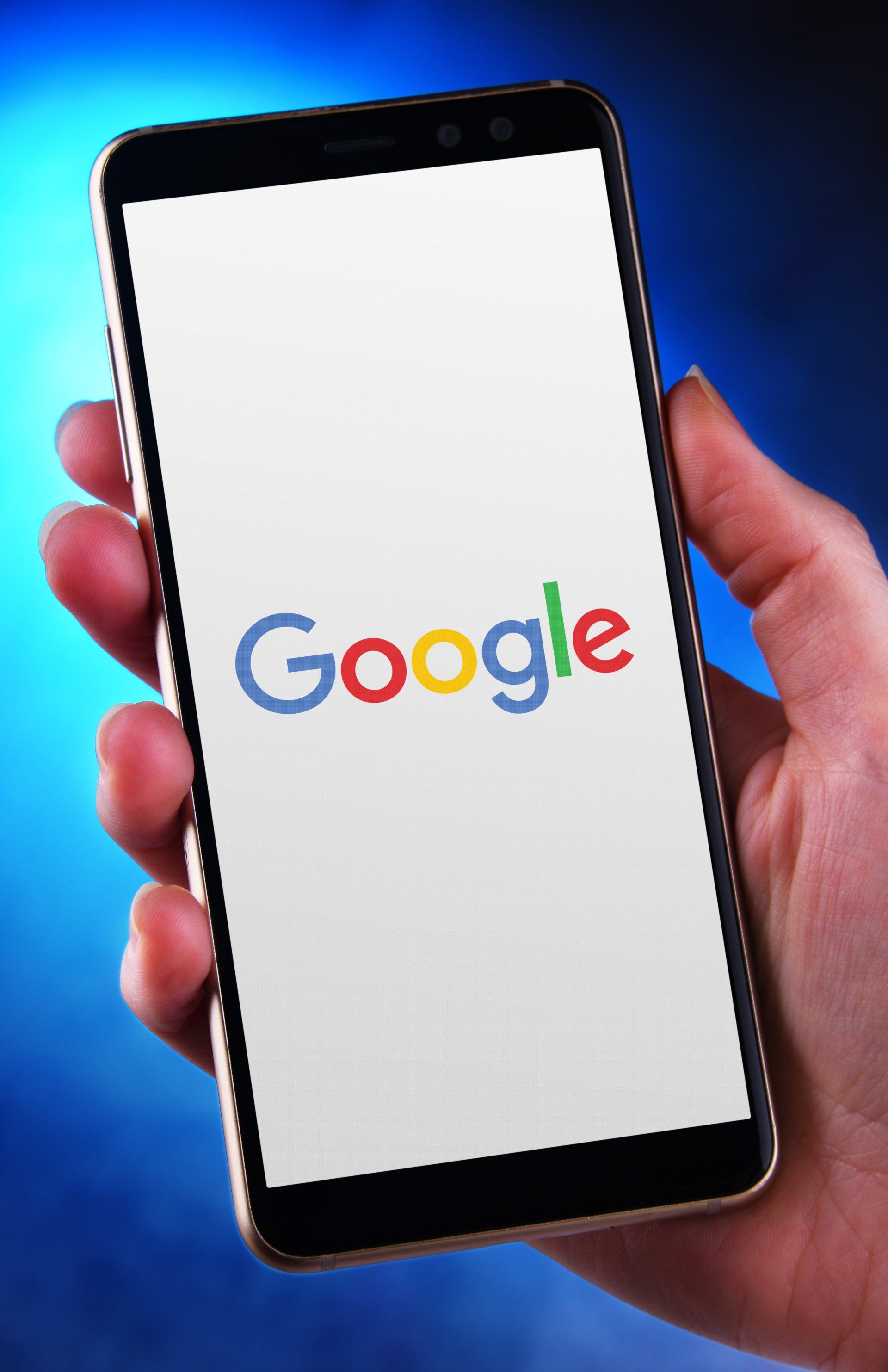 Search Engine Optimization Services