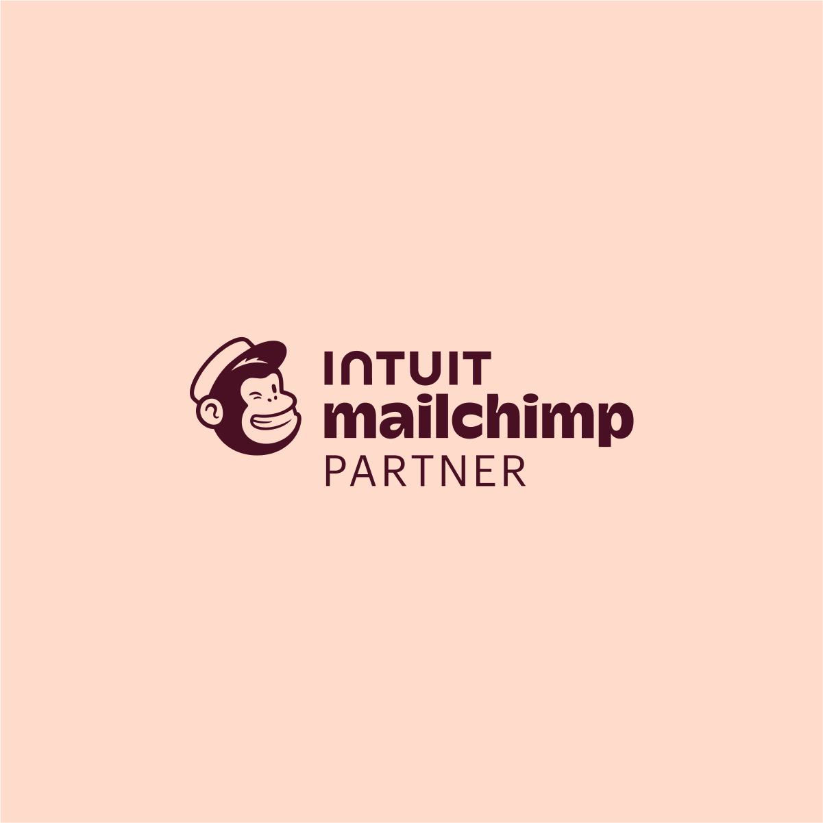 Mailchimp Partner
